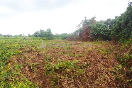 Jual Tanah 18.400 m2 di Tanjung Selor Bulungan Kalimantan Utara Dekat Kantor PEMDA Bulungan, Kantor Bupati Bulungan, RSUD dr. H. Soemarno Sosroatmodjo