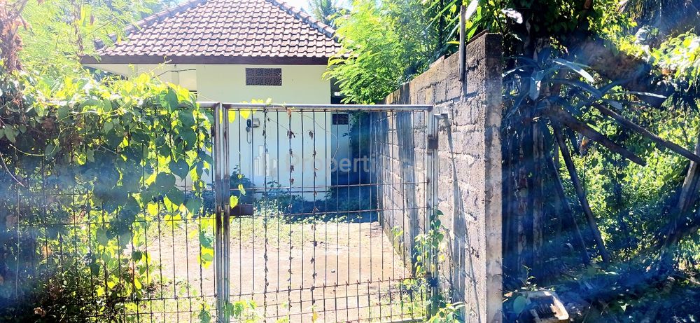 Dijual Tanah 10 Are Jalan Ida Bagus Mantra Saba Gianyar Bali