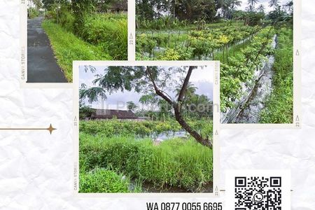 Jual Tanah 2.869 m2 di Pakem Sleman Yogyakarta Dekat Pasar Pakem, Universitas Islam Indonesia, Agro Wisata Bhumi Merapi