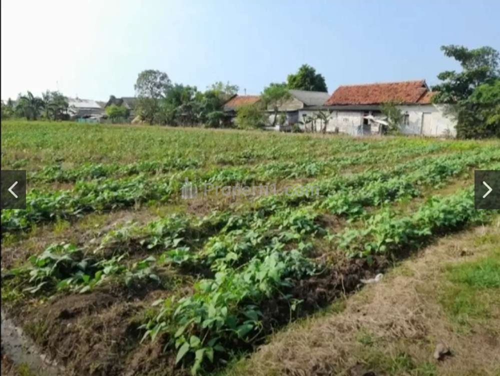 Jual Tanah Kavling Siap Bangun Lokasi Sangat Strategis dan Bebas Banjir di Bunibakti Babelan Bekasi