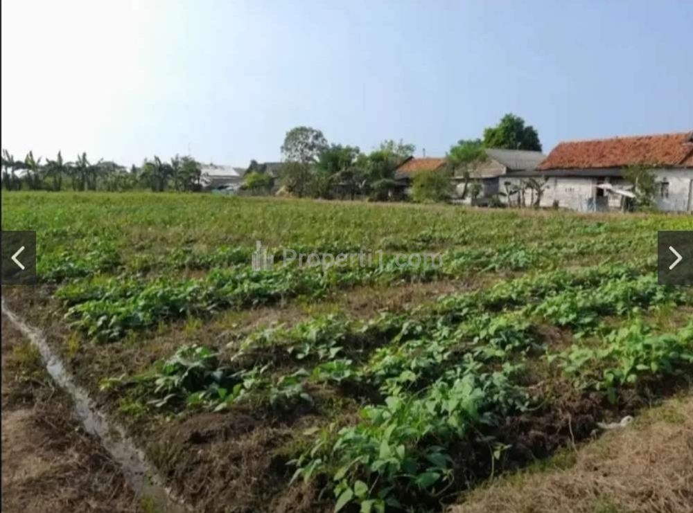 Jual Tanah Kavling Siap Bangun Lokasi Sangat Strategis dan Bebas Banjir di Bunibakti Babelan Bekasi
