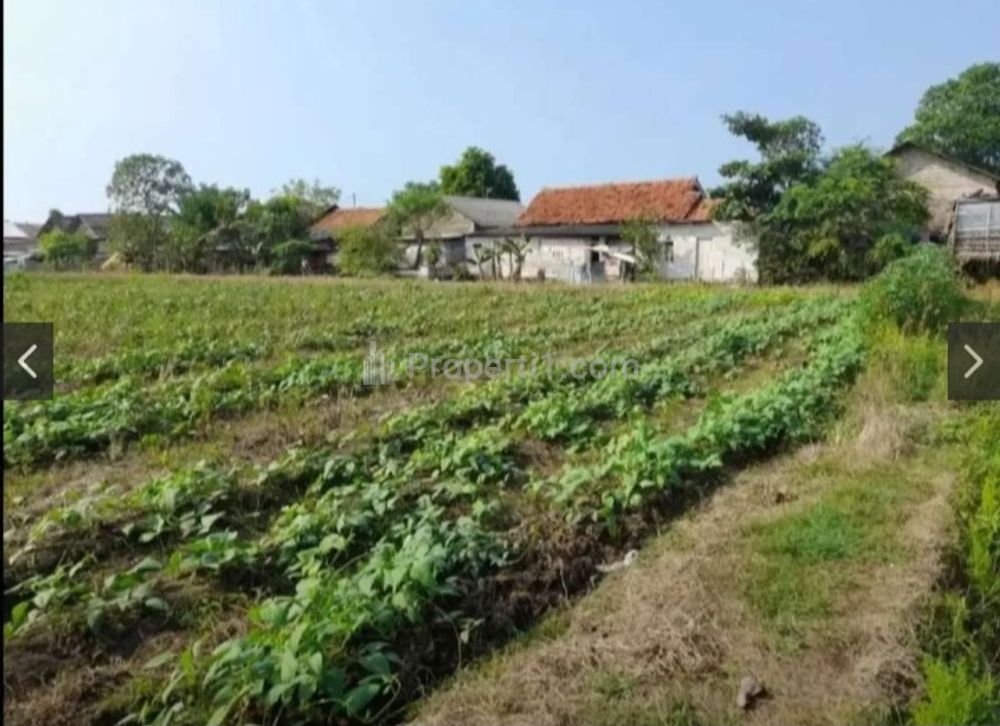 Jual Cepat Tanah Kavling Siap Bangun di Bunibakti Babelan Bekasi Utara