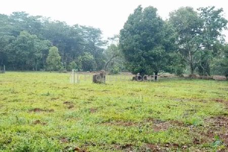Jual Tanah 11.523 m2 di Bleber Cluwak Pati Dekat SMP Negeri 1 Cluwak Pati, Pasar Ngablak Pati, Terminal Bus Tayu Pati, Cocok untuk Dibangun Perumahan