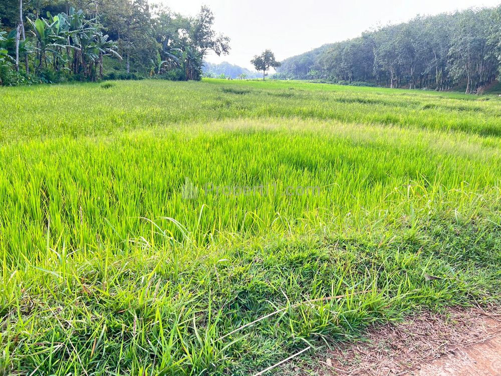 Dijual Tanah Datar Hook 2274m² di Kerjo Karanganyar