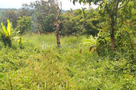 Dijual Tanah Komersial Cocok untuk Pemukiman dan Kebun di Sukamerang Kersamanah Garut