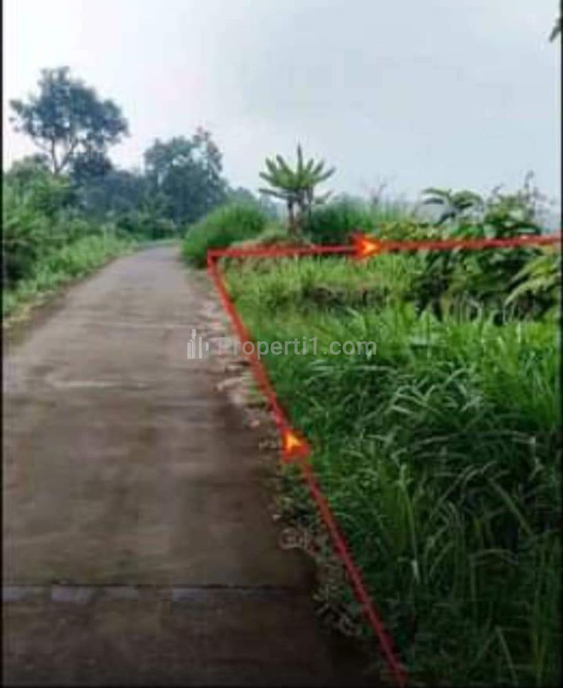 Dijual Murah Butuh Uang Lahan Kebun di Desa Wiyu Pacet Mojokerto