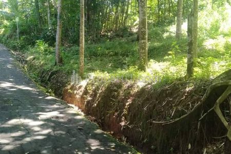 Dijual Tanah Kebun Durian Siap Panen di Karangpandan, Karanganyar, Jawa Tengah