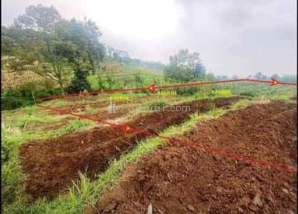 Dijual Murah Butuh Uang Lahan Kebun di Desa Wiyu Pacet Mojokerto