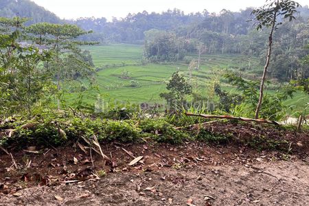 Dijual Tanah View Hamparan Sawah 1710m² di Karangpandan, Karanganyar