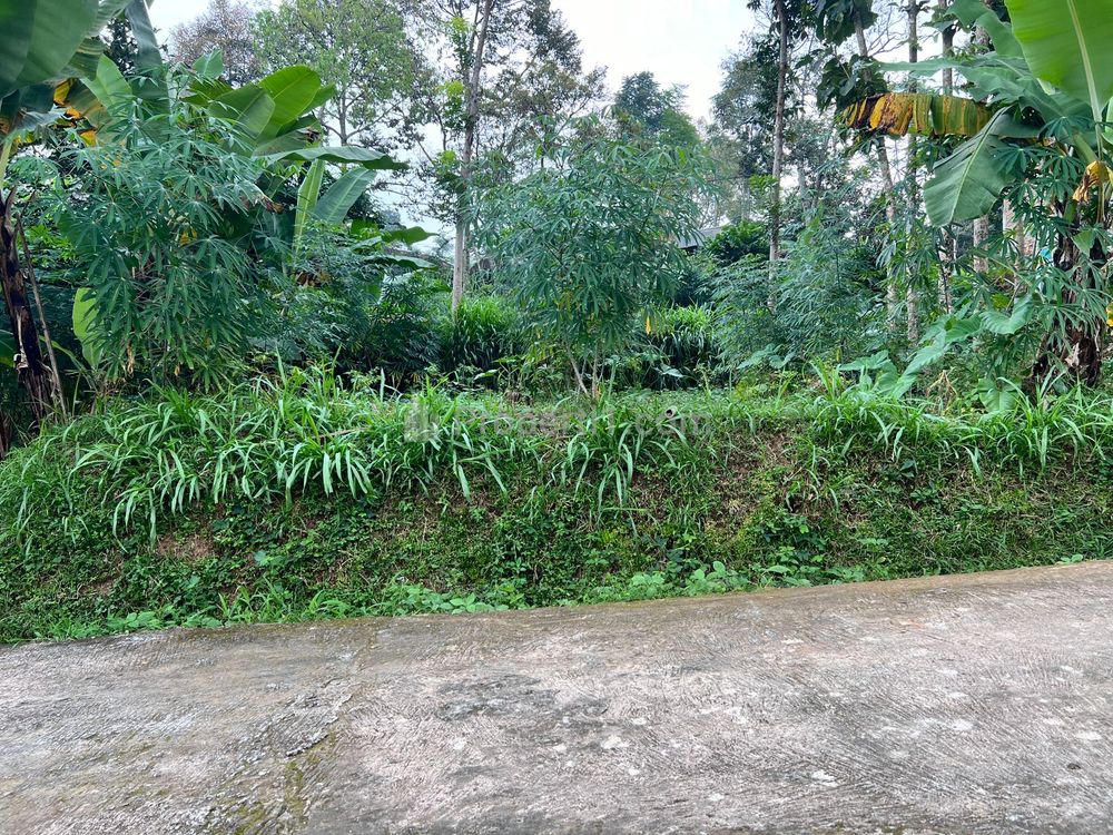 Jual Tanah Asri Cocok Dibangun Villa/Investasi di Karangpandan, Karanganyar