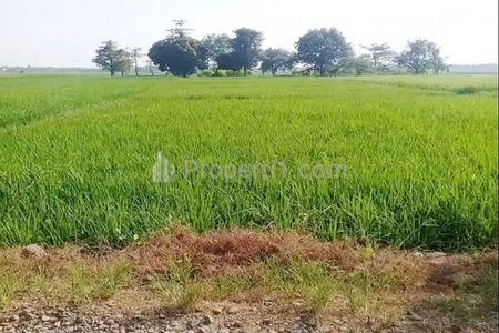 Dijual Tanah Sawah 10.367 m2 di Kawasan Industri Cibogo Subang, Dekat Tol Cipali, Gapura Perbatasan Subang-Indramayu, Politeknik Negeri Subang