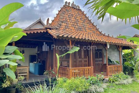 Dijual Villa di Ubud Singakerta Gianyar Bali