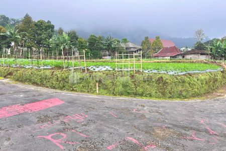 Dijual Tanah 400m² View Hutan Pinus di Kemuning Karanganyar