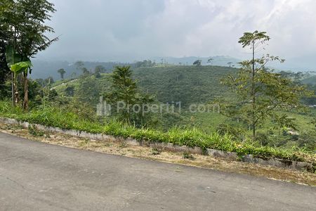 Dijual Tanah View Hamparan Kebun Teh Kemuning Ngargoyoso Karanganyar