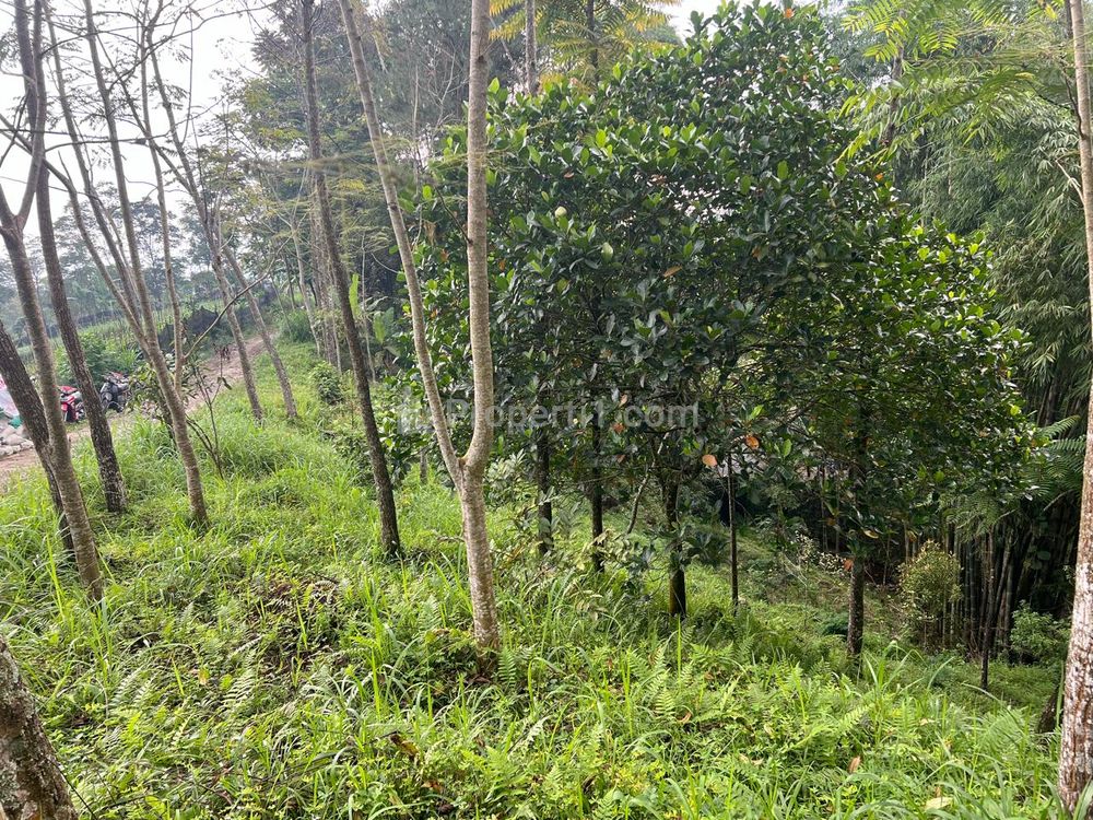 Dijual Tanah di Lingkungan Asri Udara Dingin di Kemuning Ngargoyoso Karanganyar