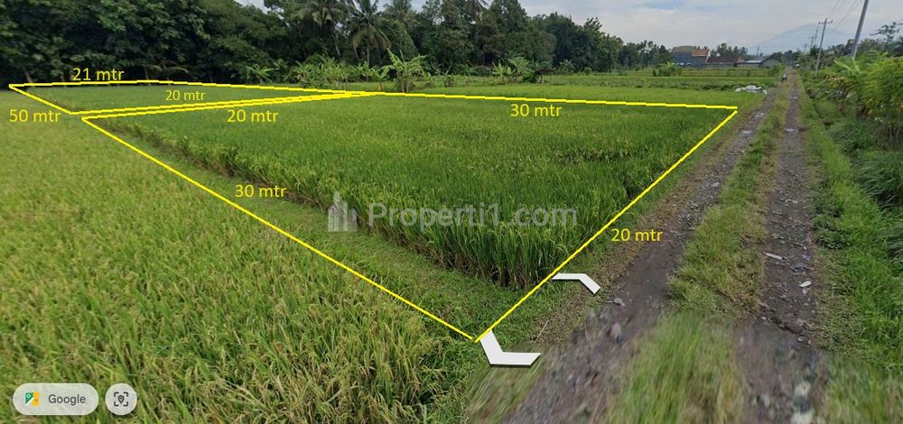 Tanah terdiri dari 2 petak yang dipisahkan dengan parit air, lebar tanah bagian depan sekitar 20 m, panjang 30 m, petak kedua lebar 20m melebar panjang 50