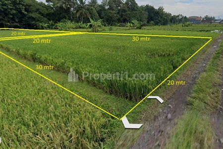 Tanah terdiri dari 2 petak yang dipisahkan dengan parit air, lebar tanah bagian depan sekitar 20 m, panjang 30 m, petak kedua lebar 20m melebar panjang 50