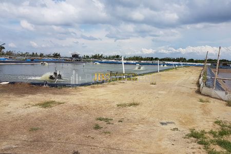 Dijual Tambak Brandan Lokasi Dusun Suka Mulia, Desa Securai Selatan Kec. Babalan - pangkalan Brandan, Langkat