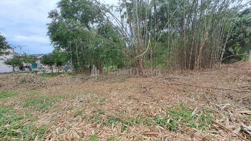9 Menit Citraland Cibubur, Dijual Kavling Murah Mulai 1,3 Jt-an - Bogor