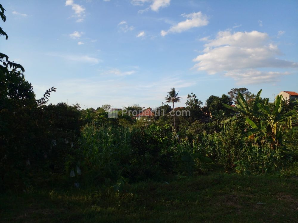 Dijual Tanah Kavling 5 Menit Transmart Yasmin Free SHM di Bogor