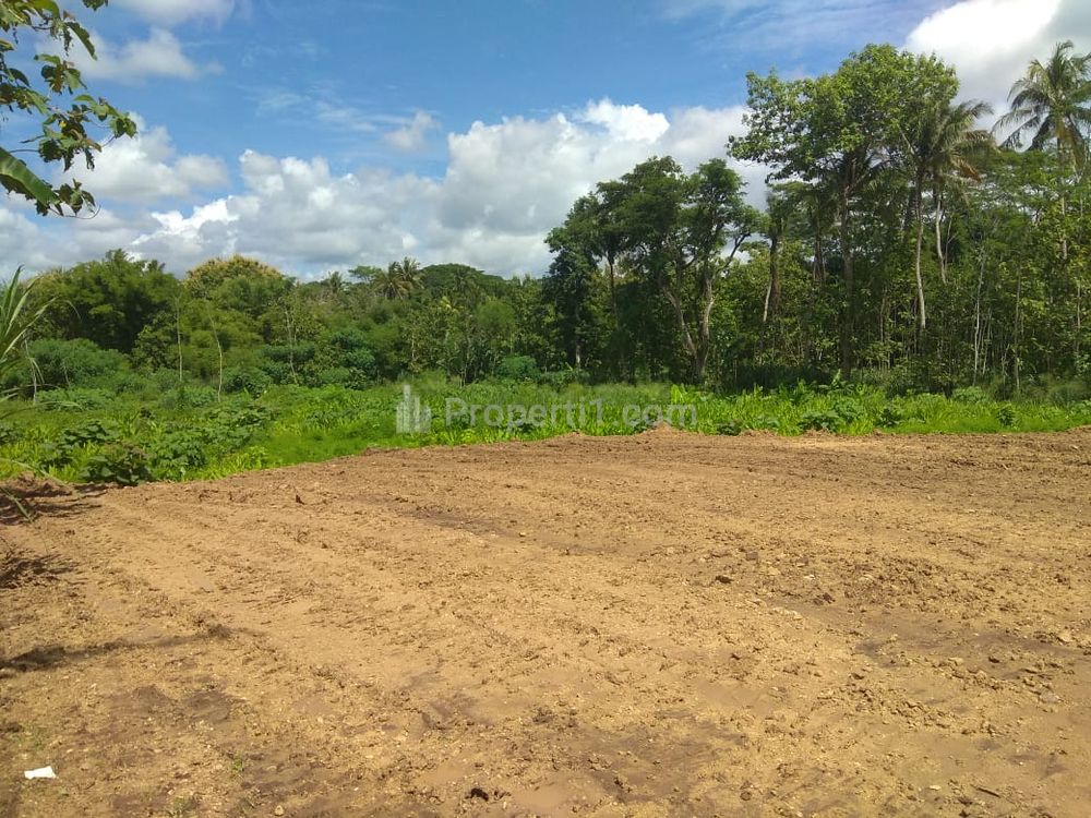 Dijual Tanah Kavling 5 Menit Transmart Yasmin Free SHM di Bogor
