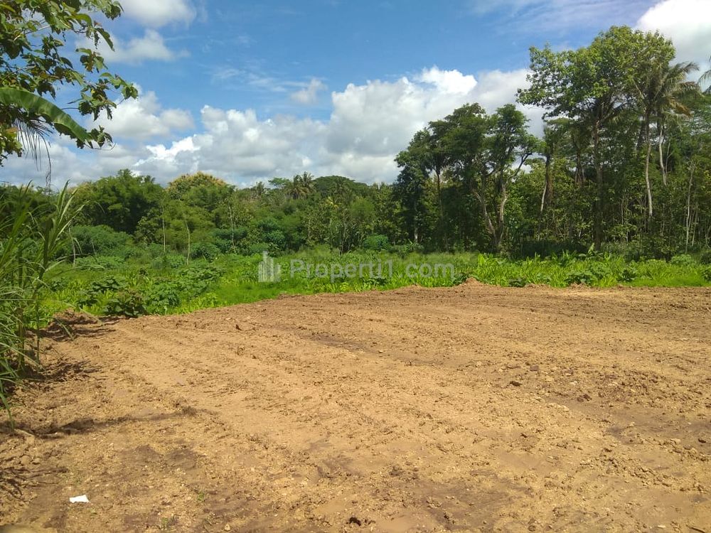 Dijual Tanah Murah 4 Menit Situ Cibodas Hanya 1 Jt-an/m2 - Free SHM - Rumpin, Bogor
