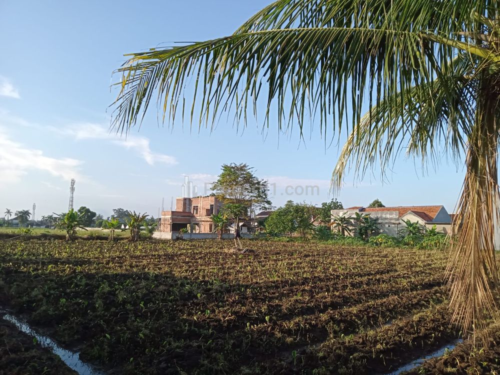 Dijual Tanah Murah 10 Menit Terminal Laladon - Hemat 100 Jt-an - Margajaya, Bogor Barat, Bogor