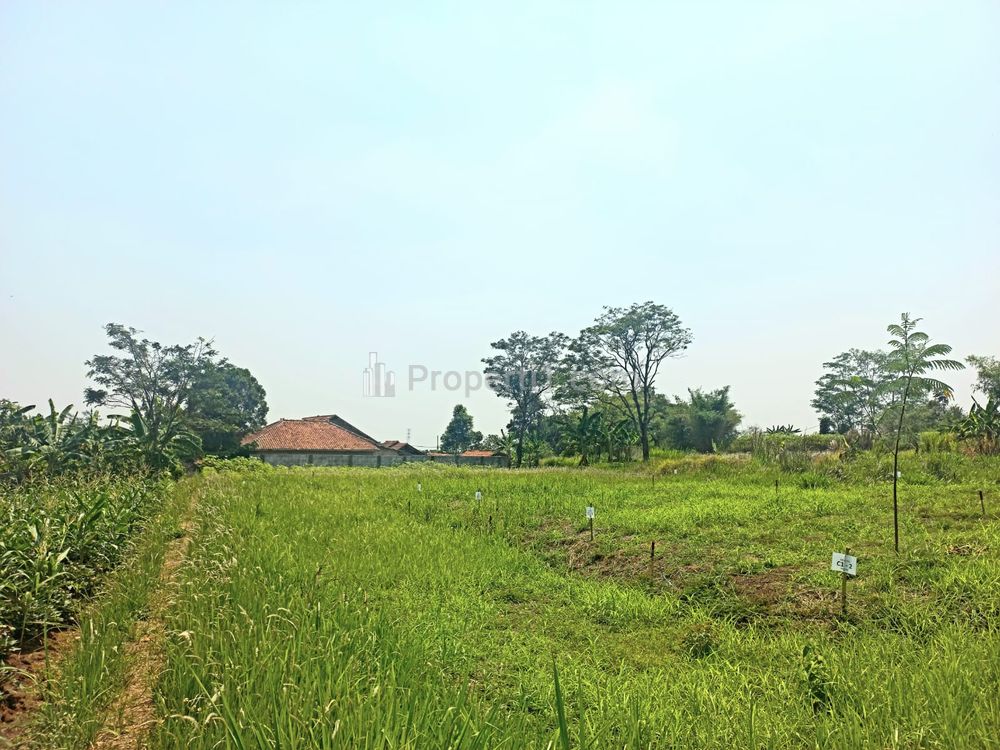 Dijual Tanah Murah 5 Menit Calon Toll Bomang - Promo 1 Jt-an/m2 - Sasak Panjang, Kec. Tajur Halang, Kabupaten Bogor