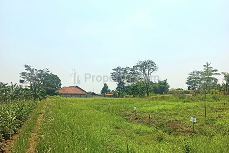 Dijual Tanah Murah 5 Menit Calon Toll Bomang - Promo 1 Jt-an/m2 - Sasak Panjang, Kec. Tajur Halang, Kabupaten Bogor