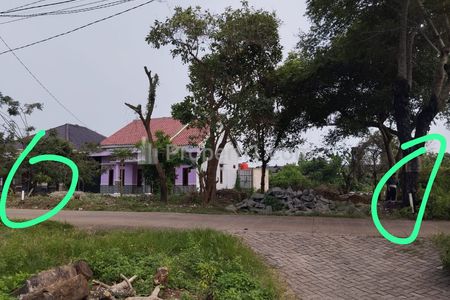 Dijual Cepat Tanah dengan Harga di Bawah Pasaran dan Cocok untuk Investasi di Sindang Jaya, Tangerang