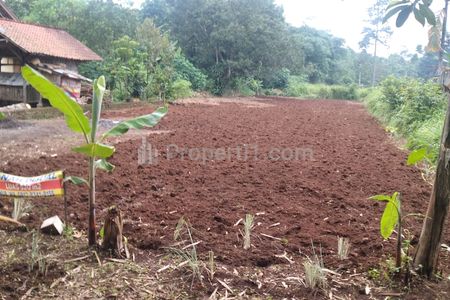 Dijual Tanah Murah Dekat Stasiun Cicayur, Bisa Dicicil 12x Tanpa Bunga - Cisauk, Tangerang