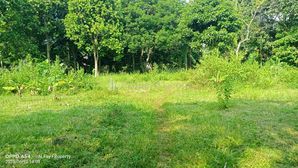 Dijual Tanah Murah 10 Menit Terminal Cileungsi, Bisa Dicicil 12x Tanpa Bunga - Jl. Mampir, Kecamatan Cileungsi, Kabupaten Bogor