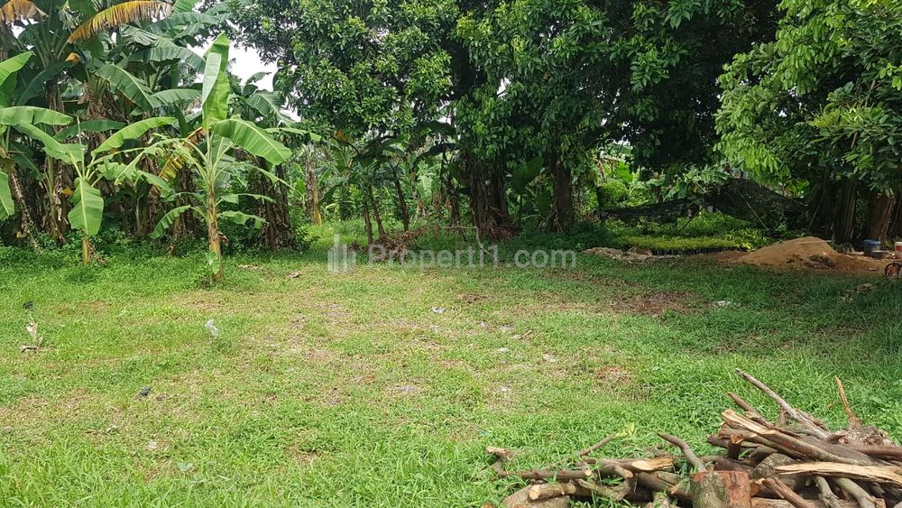 Dijual Tanah Murah 5 km Terminal Parung, Promo Hanya 1 Jt-an/m2 - Bogor
