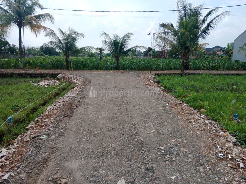 Dijual Tanah 200 Jutaan Dekat McDonald Semplak, Cicil 12X - Bogor