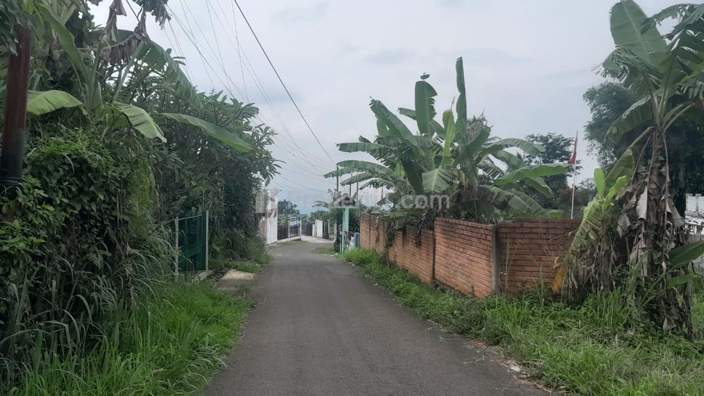 Dijual Tanah Murah Dekat Pasar Caringin Bogor Promo 1 Jutaan/m2