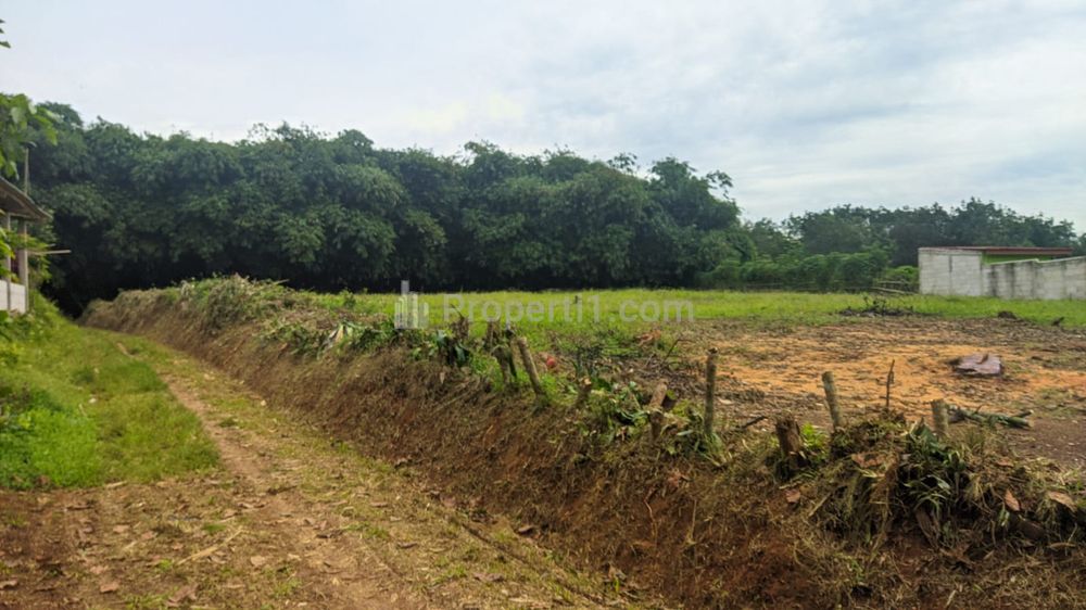 Dijual Tanah Murah Hanya 1 Jt-an/m2, 4 Menit Situ Cibodas Bogor
