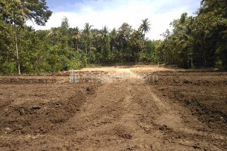 Dijual Tanah Murah Dekat The Park Sawangan Depok - Promo Harga 2 Jutaan/m2