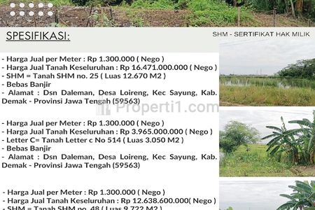 Jual Tanah 12.670 m2, 3.050 m2, 9.722 m2 di Sayung Demak Jawa Tengah Dekat Jateng Land Industrial Park Sayung Demak, Pasar Sayung, Gerbang Tol Sayung