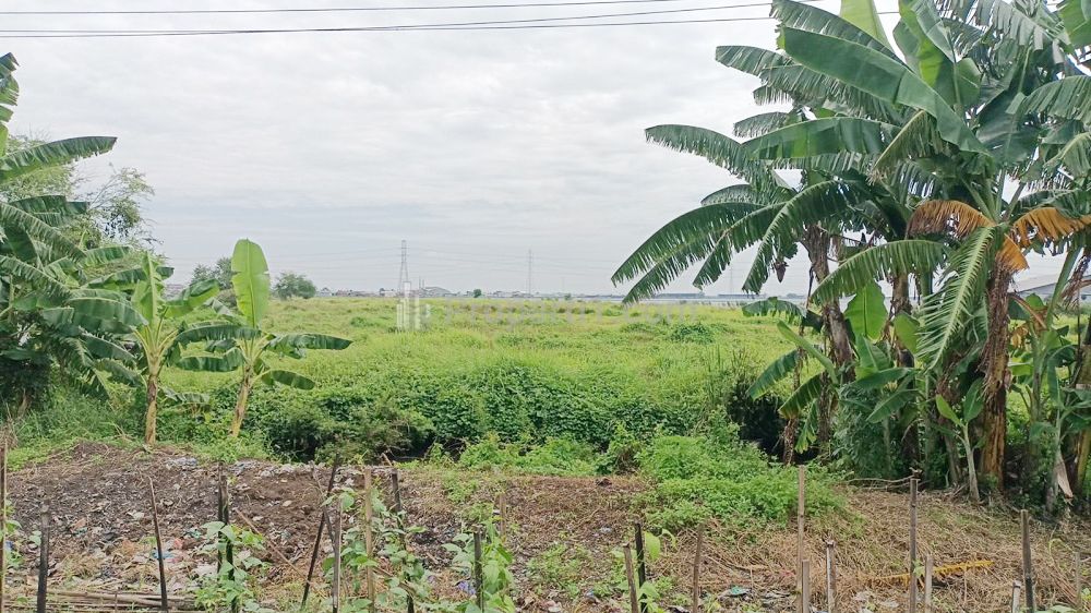Jual Tanah di Sayung Demak Jawa Tengah Dekat Jateng Land Industrial Park Sayung Demak, Pasar Sayung, Gerbang Tol Sayung, SMK Negeri 1 Sayung Demak