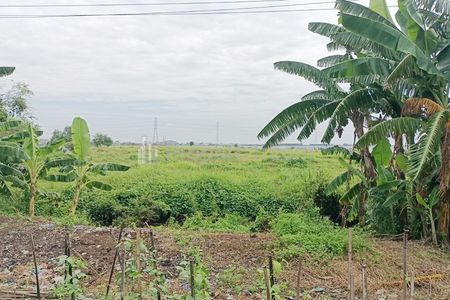 Jual Tanah di Sayung Demak Jawa Tengah Dekat Jateng Land Industrial Park Sayung Demak, Pasar Sayung, Gerbang Tol Sayung, SMK Negeri 1 Sayung Demak