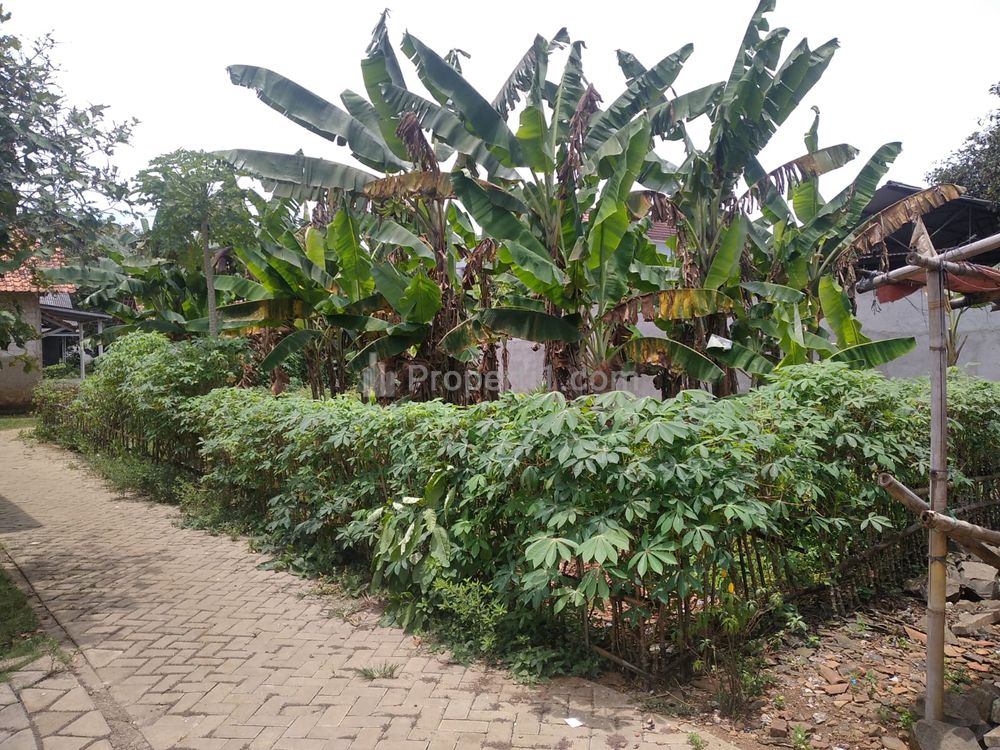 Siap Bangun Tanah Cisauk Dijual, 4 Menit SMKS Bina Insani Cisauk Tangerang
