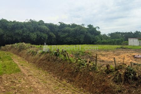 Dijual Tanah Murah Hanya 1 Jt-an/m2 di Rumpin Bogor, 4 Menit ke Pusdiklat Bela Negara RI