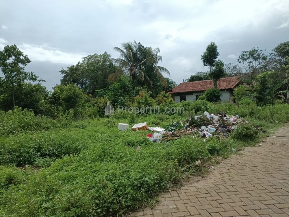 Dijual Tanah Kavling Murah 15 Menit Stasiun Tigaraksa Tangerang, 500 Ribu/m2