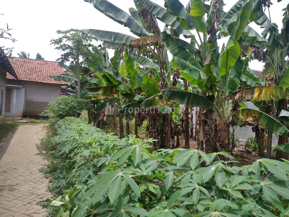 16 Menit Stasiun Cisauk Tangerang, Siap Bangun Tanah Cisauk Dijual Cepat