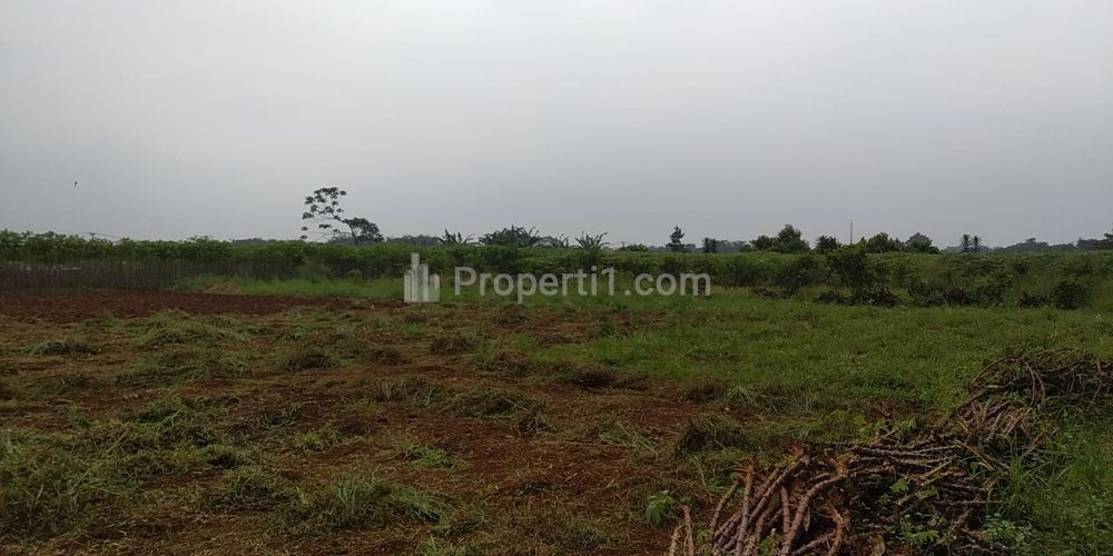 Dijual Tanah Kavling Murah Promo 1 Jt-an/m2 di Bogor, 4 km McD Cibinong