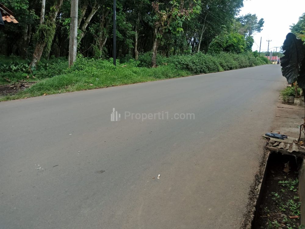 Dijual Kavling Murah Bisa Dicicil 12X 5 Menit Pasar Tradisional Gobang Rumpin Bogor