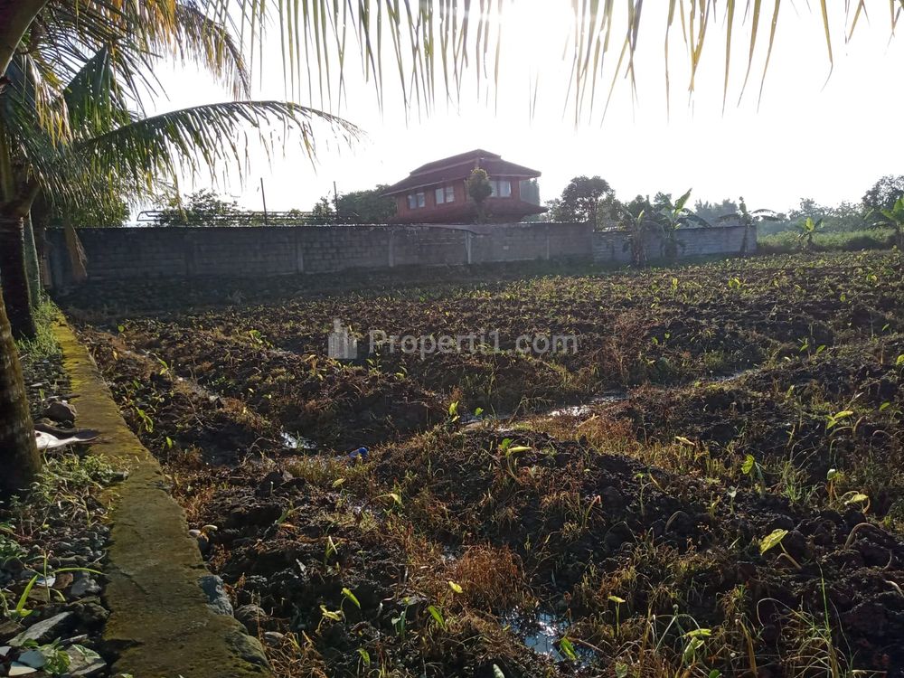 Jual Tanah Kavling Sakura Dramaga 2 Juta/Meter, Dekat Terminal Laladon Bogor