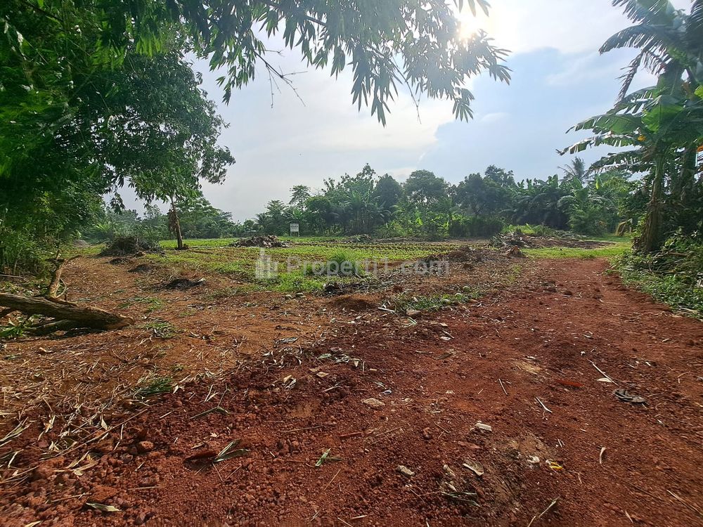 Dijual Murah 1 Jtan/m2 Tanah Kavling Investasi di Bogor, Dekat Stasiun Cicayur, SHM/Unit