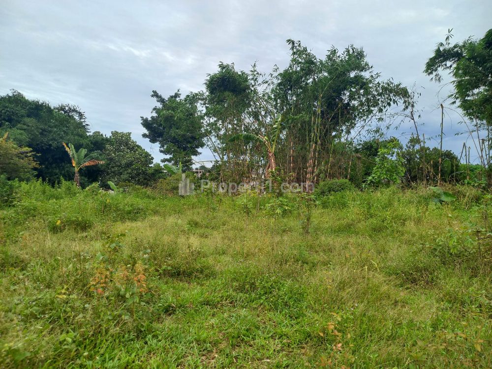 Dijual Tanah Murah di Bogor, 10 Menit Citraland Cibubur, Promo 1 Jt-an/m2