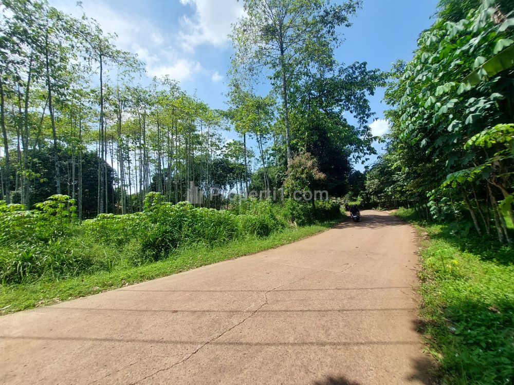 Dijual Tanah Kavling Murah 90 JT-an di Setu, Kab. Bekasi Free SHM